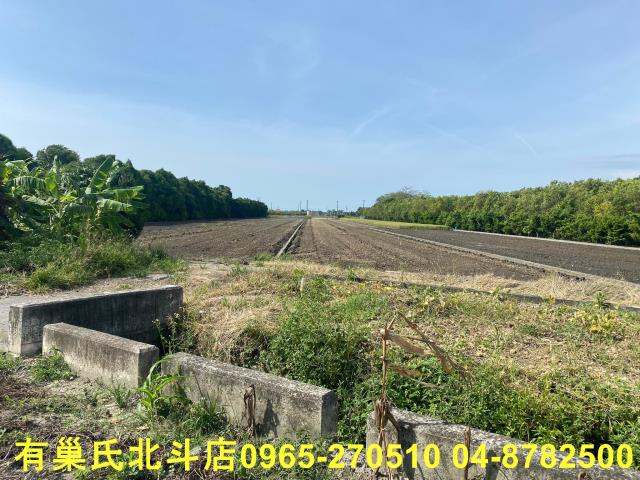 溪州農地-4