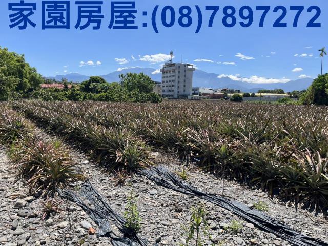 屏東潮州農地-2