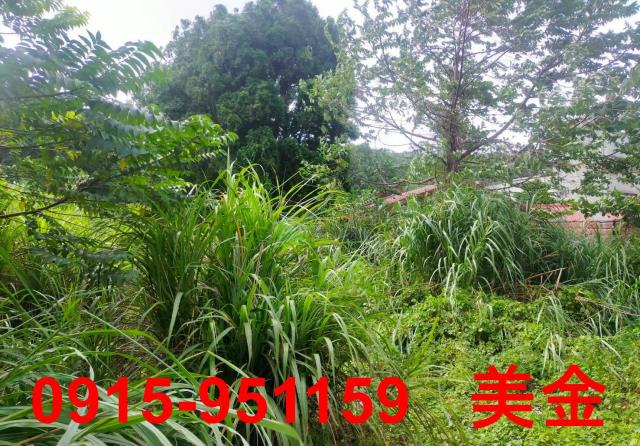 桃園平鎮工業地-1