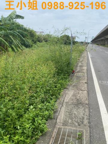 新屋農地-3