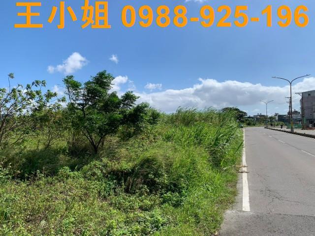 觀音農地-1