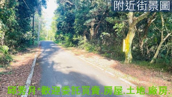 新北農地-2