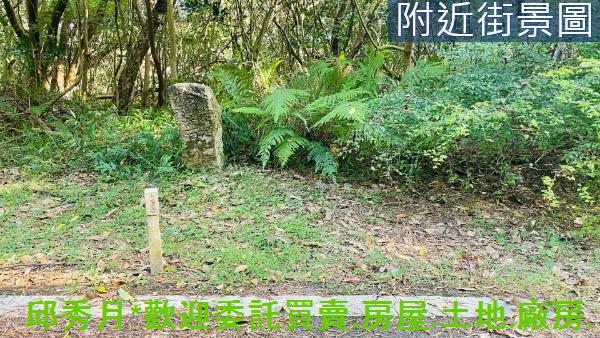 新北農地-4
