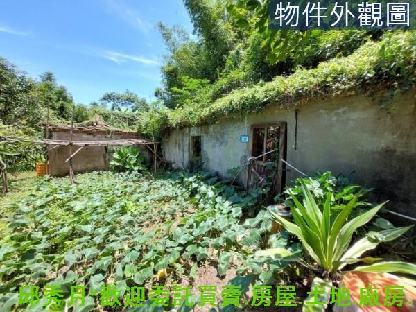 新北農地-2