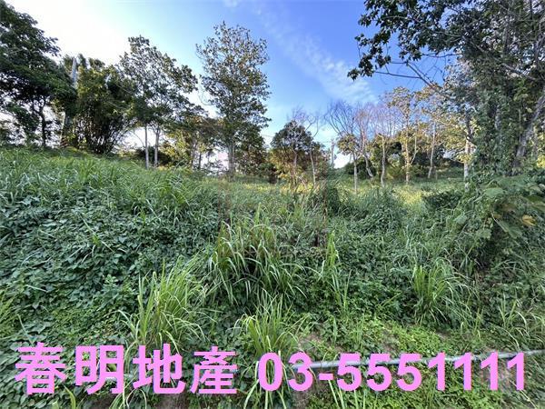 新竹寶山農地-10