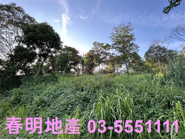 新竹寶山農地-11