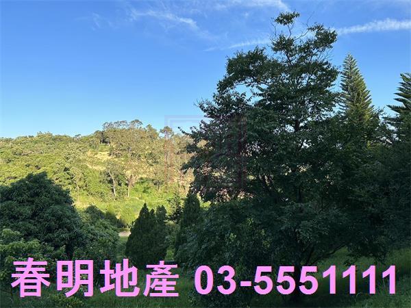 新竹寶山農地-6