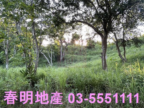 新竹寶山農地-7