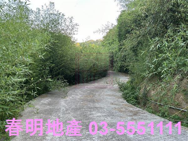 新竹寶山農地-8