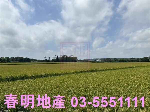 新竹新豐農地-1