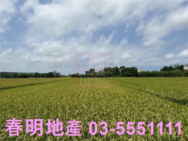 新竹新豐農地-2