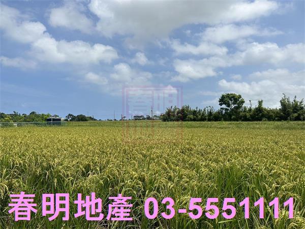 新竹新豐農地-4