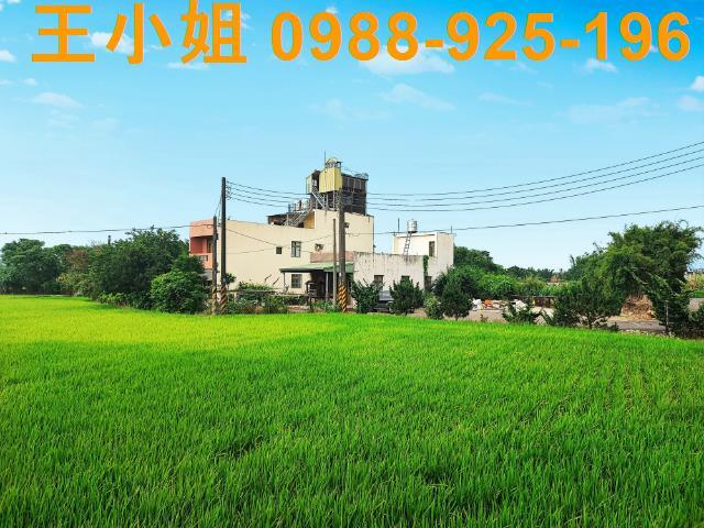 八德建地-10