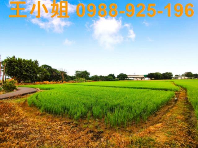 八德建地-13