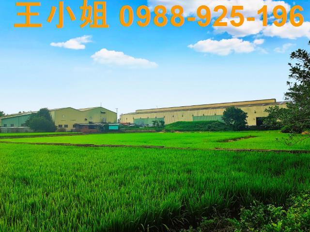 八德建地-14