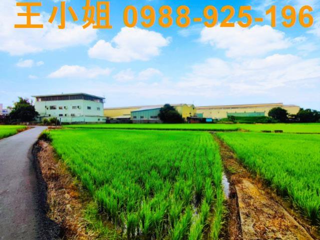 八德建地-6