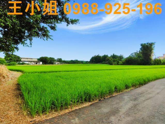 八德建地-7