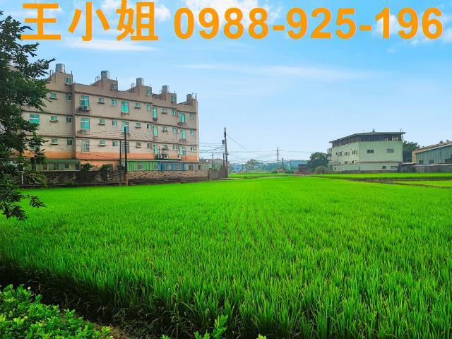 八德建地-9