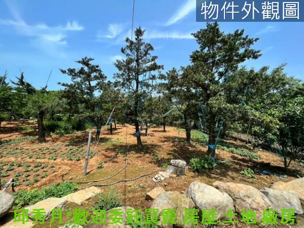 新北石門都市計畫內-3