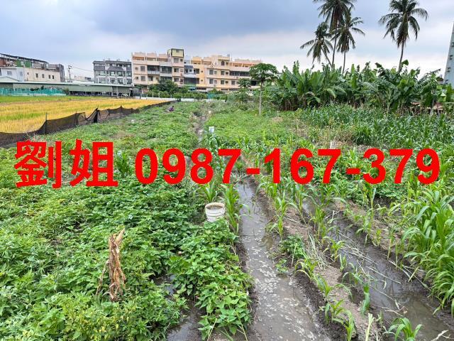 高雄林園建地-1