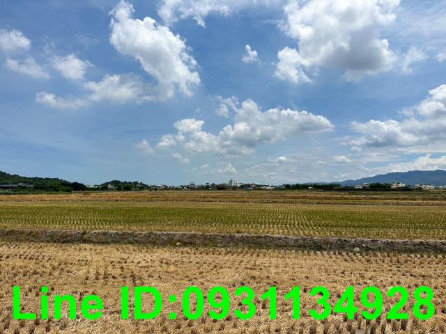 台中外埔農地-2