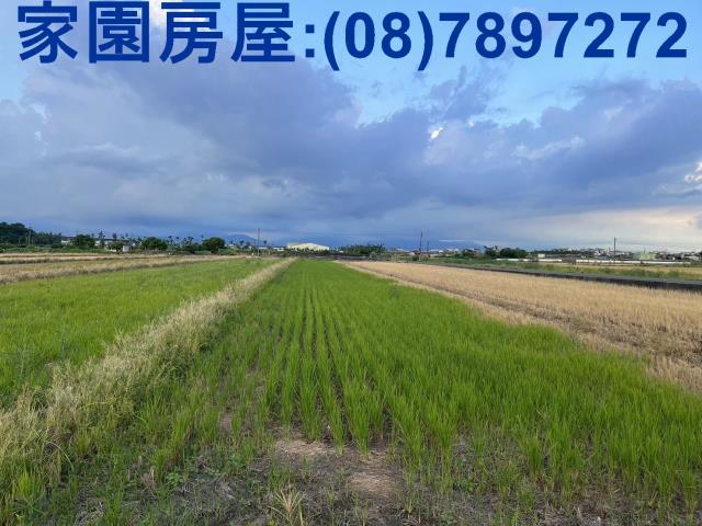 屏東農地-1