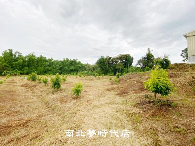 左鎮農地-13