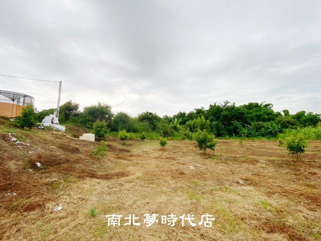 左鎮農地-14