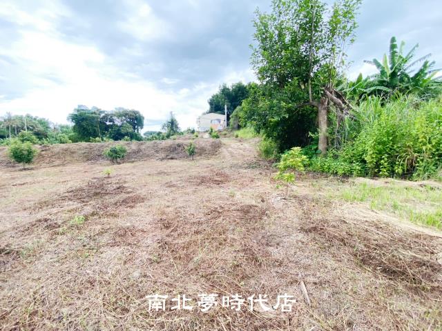 左鎮農地-8