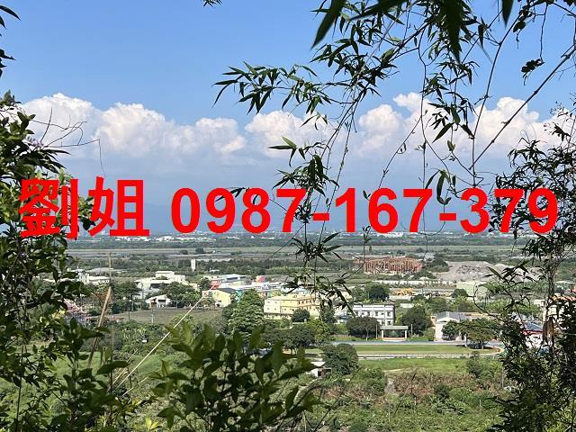 大樹農地-2