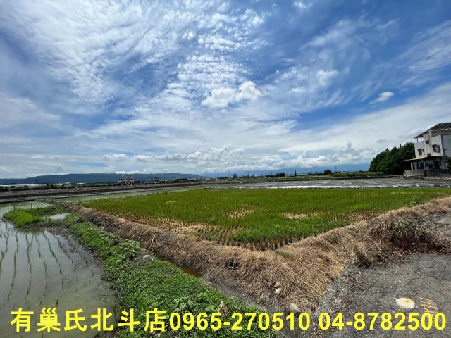 彰化溪州農地-4