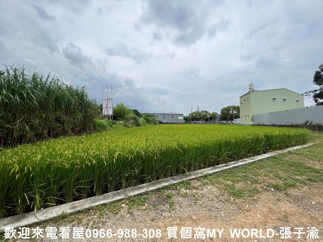 中壢農地-3