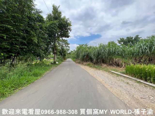 中壢農地-5