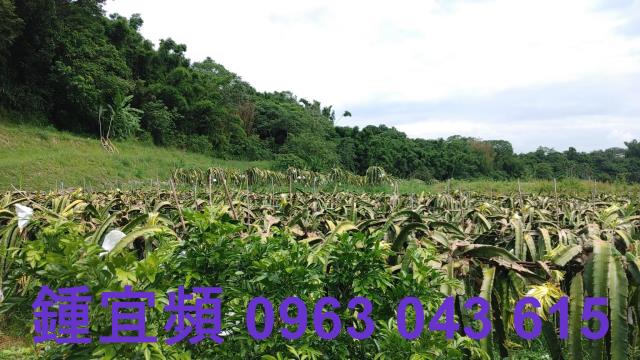 新竹休閒地-10