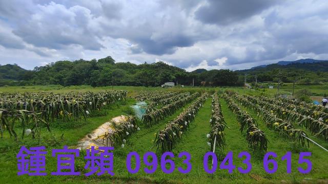 新竹休閒地-12