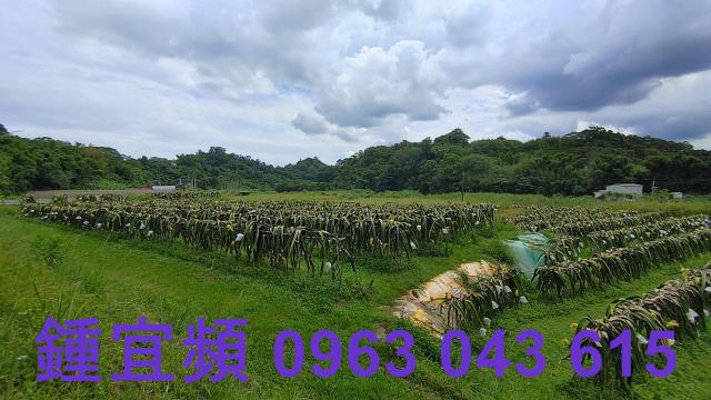 新竹休閒地-14