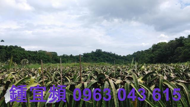 新竹休閒地-7
