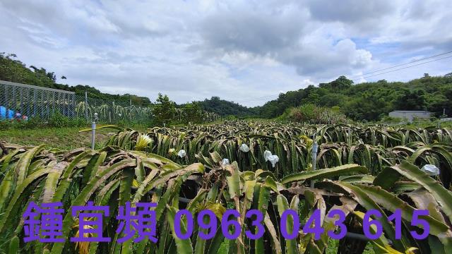 新竹休閒地-8