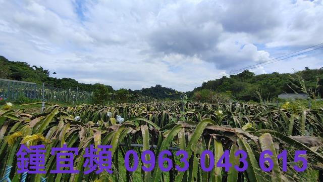 新竹休閒地-9