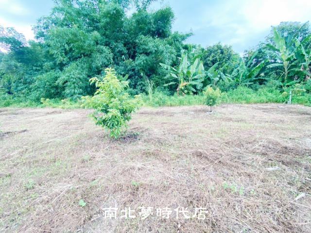 台南左鎮農地-10