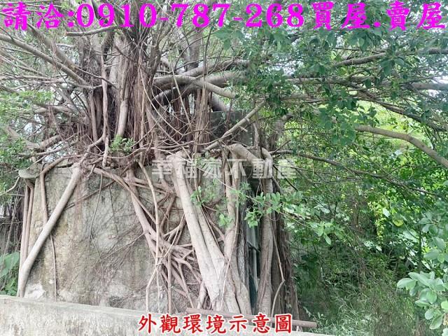 仁德農地-10