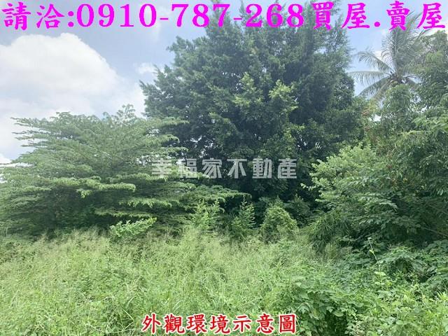 仁德農地-4