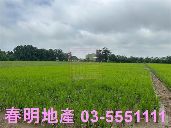 新豐農地-1