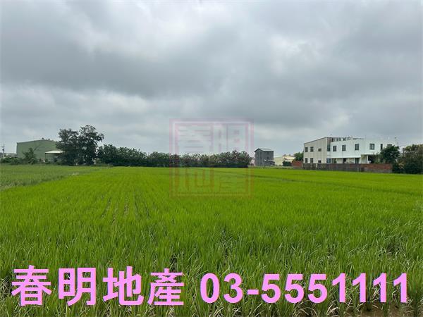 新豐農地-6
