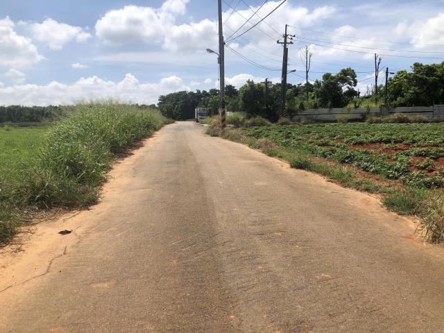 清水農地-2