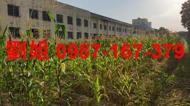高雄工業地-1