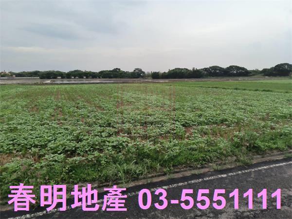 竹北農地-2