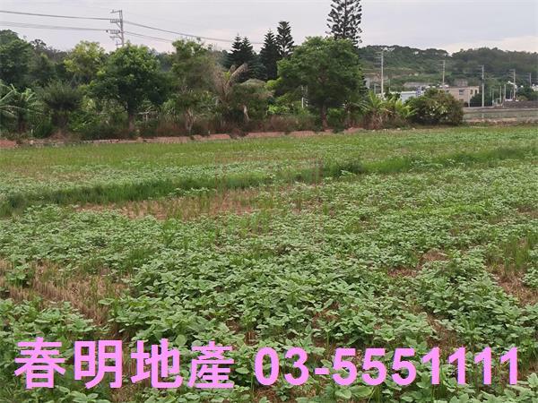 竹北農地-5