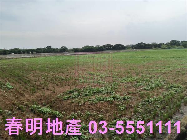 竹北農地-6