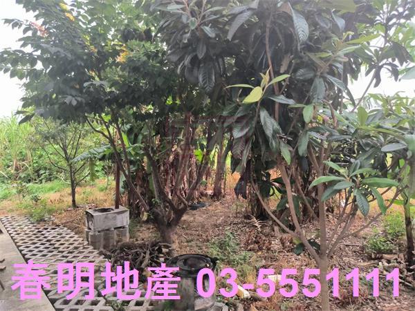 竹北農地-7